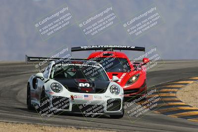 media/Mar-29-2025-Pro Autosports (Sat) [[89b1c017ad]]/5-Blue-White Group/Qualifying Race/
